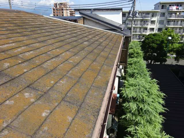屋根施工前